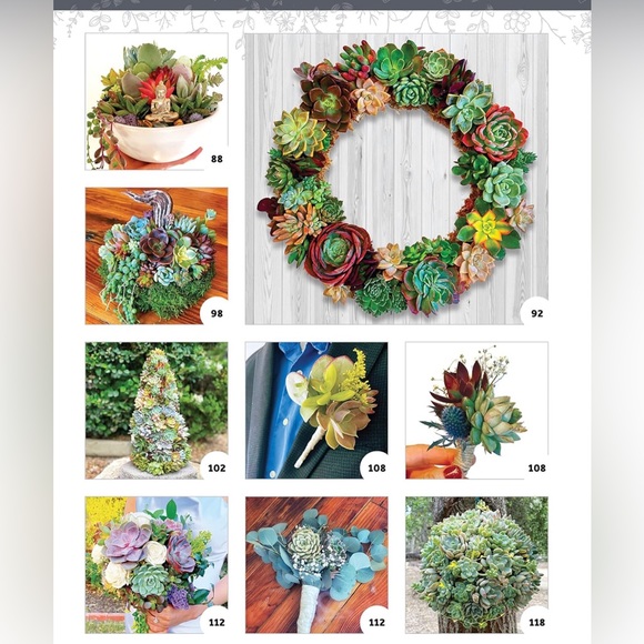 Book on succulents by Jessica Surface - Picture 3 of 4